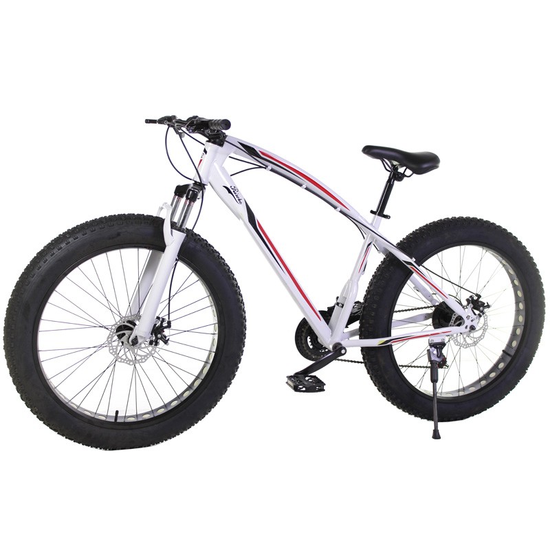 fat bike ebay